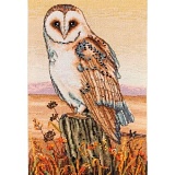 Купить недорого   *  Набор для вышивания Anchor "Owl Horizon" 23*16см, MEZ Венгрия, PCE604  в интернет магазине Фэмили хобби