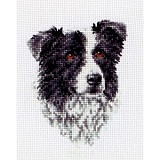 Купить недорого   *  Набор для вышивания Anchor "Border Collie" 11*8см, MEZ Венгрия, PCE219  в интернет магазине Фэмили хобби