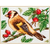 Купить недорого   *  Набор для вышивания Anchor "Goldfinch" 8*11см, MEZ Венгрия, PCE205  в интернет магазине Фэмили хобби