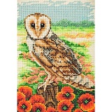Купить недорого   *  Набор для вышивания Anchor "Owl" 23*16см, MEZ Венгрия, AK139  в интернет магазине Фэмили хобби