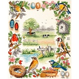 Купить недорого   *  Набор для вышивания Anchor "Birds Sampler" 44*35см, MEZ Венгрия, PSC52  в интернет магазине Фэмили хобби