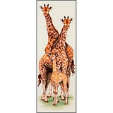 Купить недорого   *  Набор для вышивания Anchor "Giraffe Family" 47*14см, MEZ Венгрия, PCE740  в интернет магазине Фэмили хобби