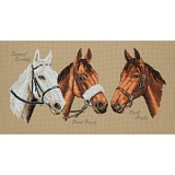 Купить недорого   *  Набор для вышивания Anchor "Three Champions" 20*38см, MEZ Венгрия, PCE731  в интернет магазине Фэмили хобби